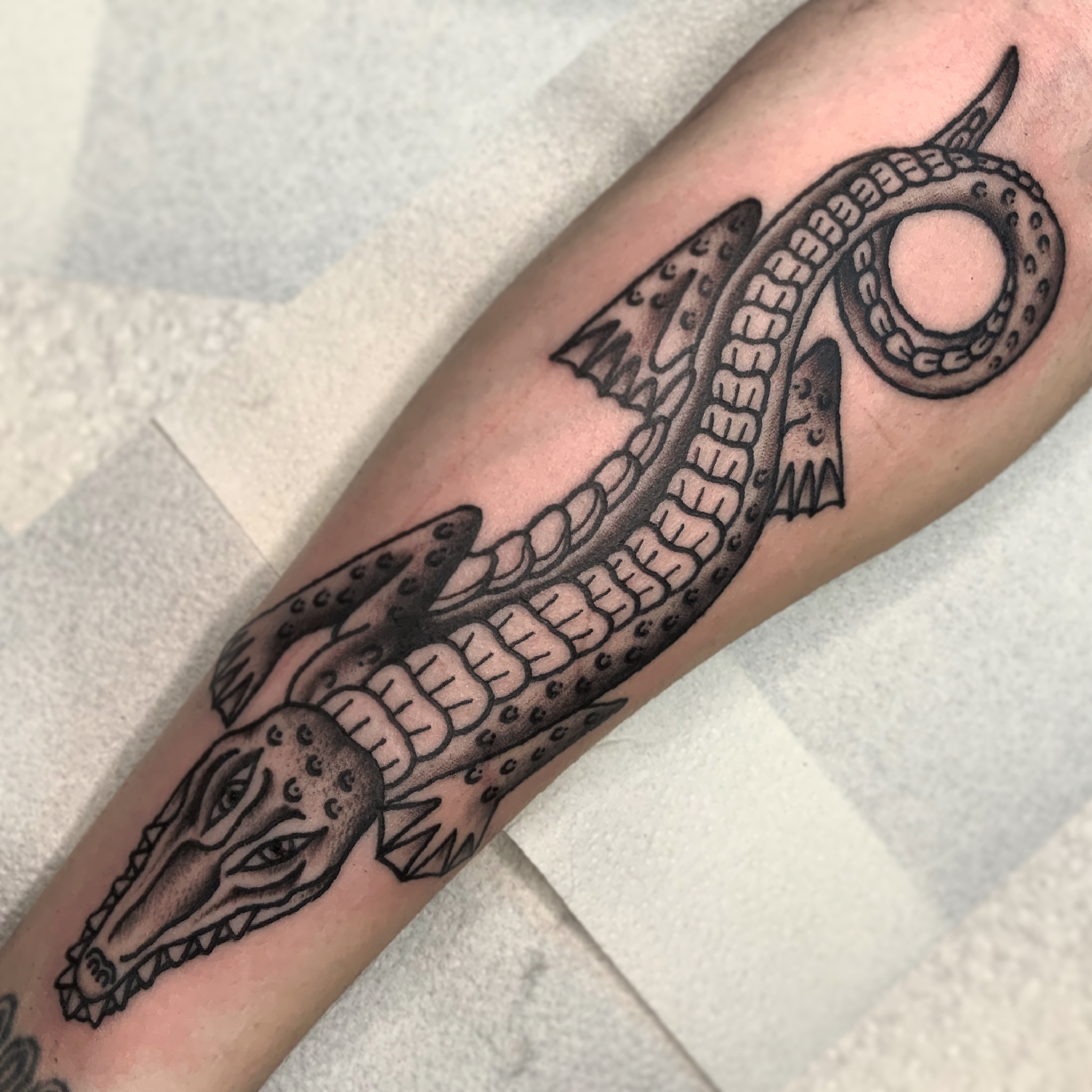 ALIGATOR