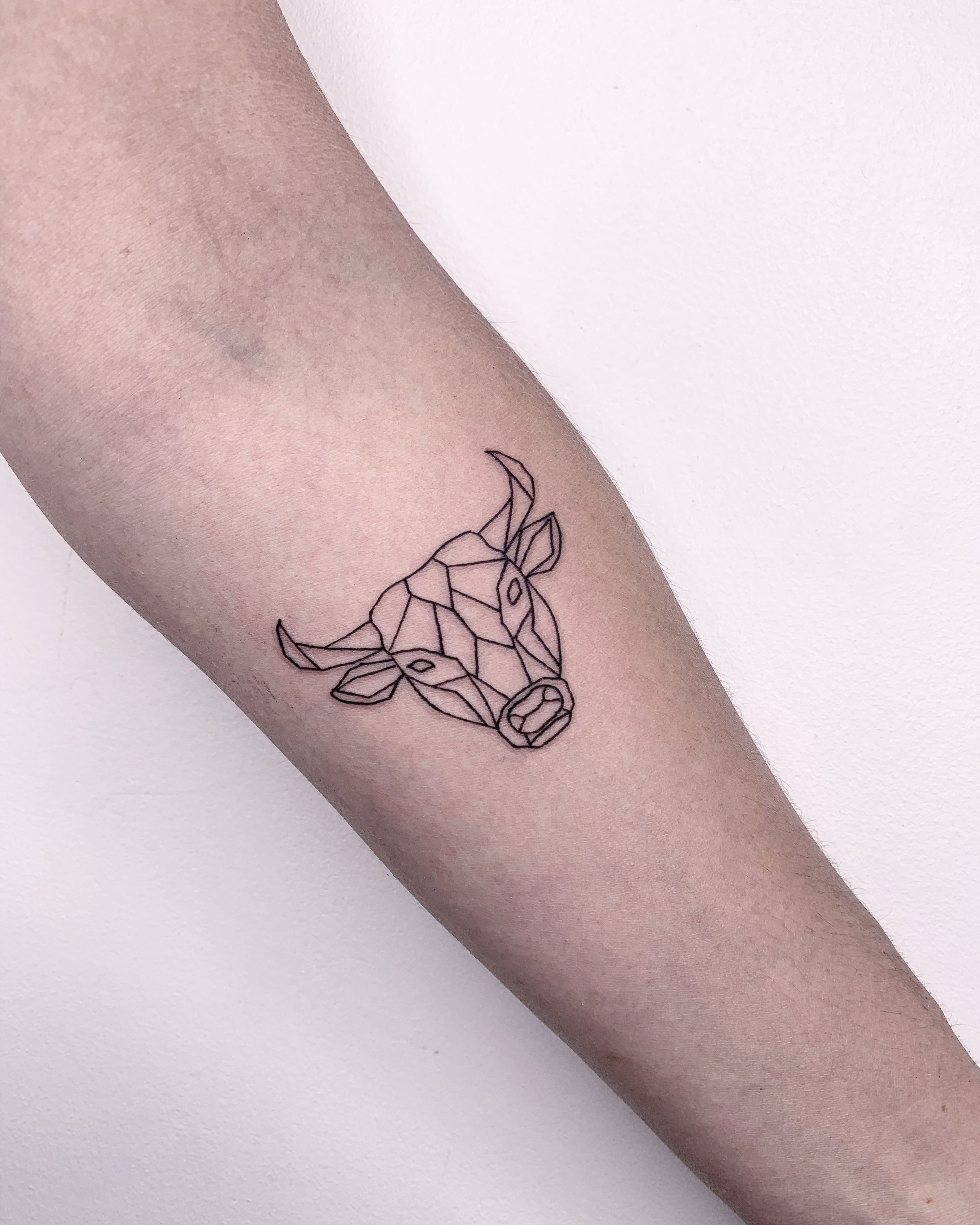 BULL