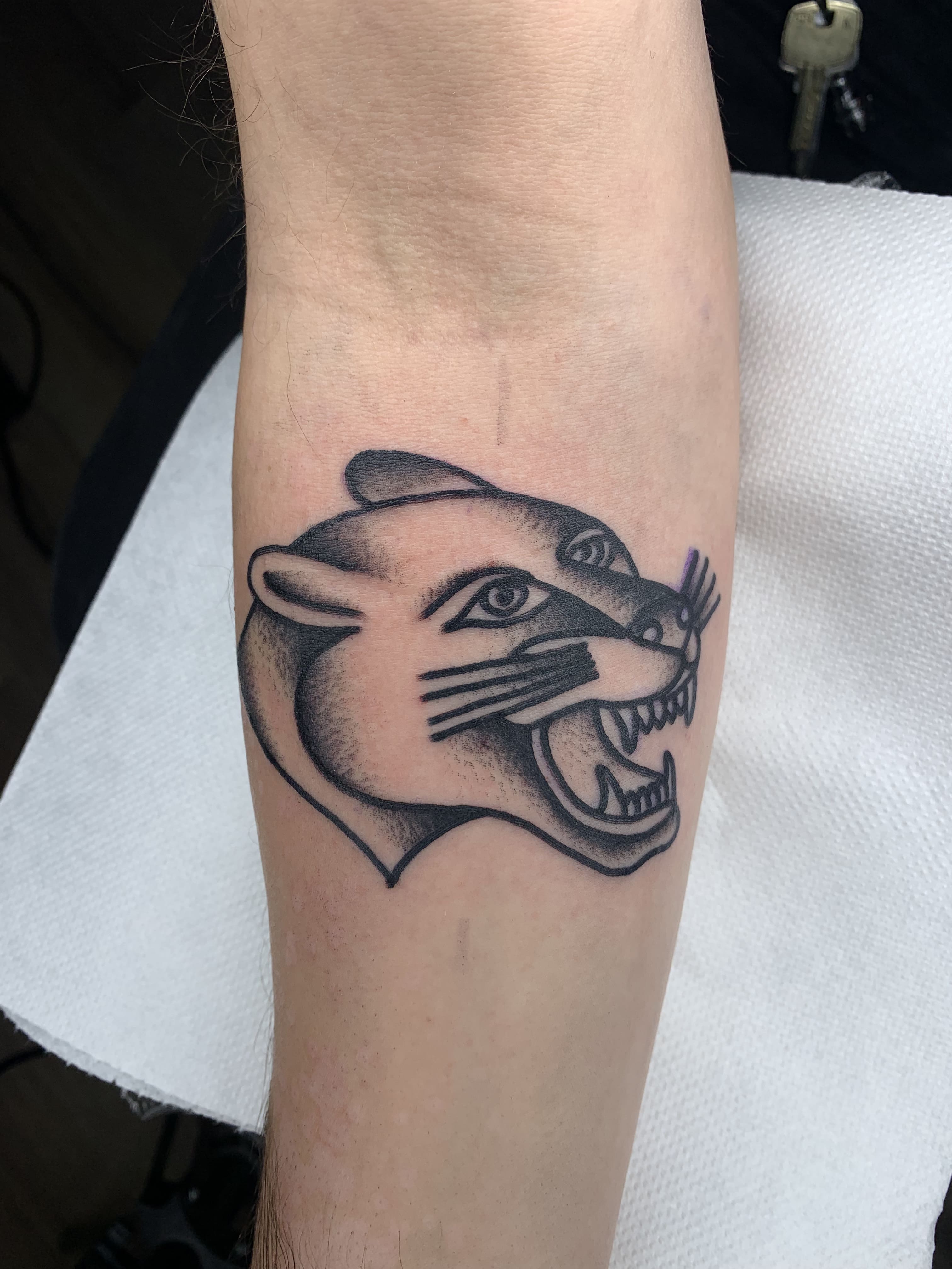 PANTHER